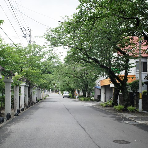 R0010787