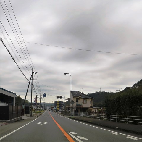 のんびりと高知で 高知カフェ のんびりと高知で 高知カフェ