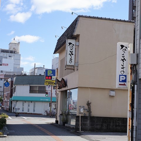 R0009233