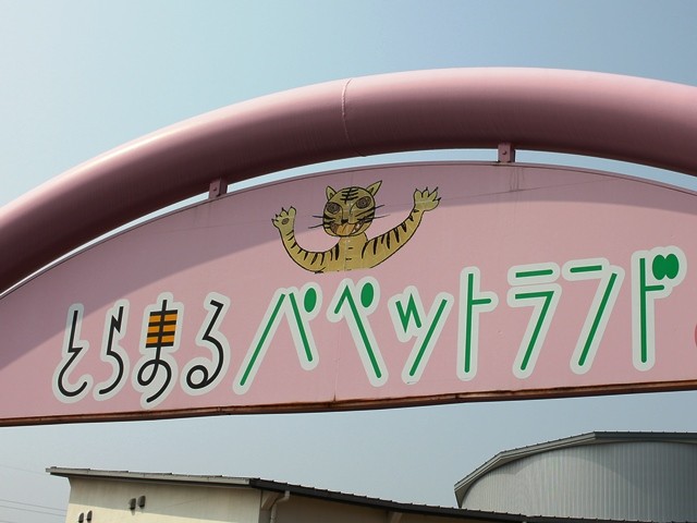 のんびりと高知で 16年03月