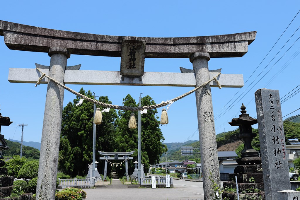 のんびりと高知で