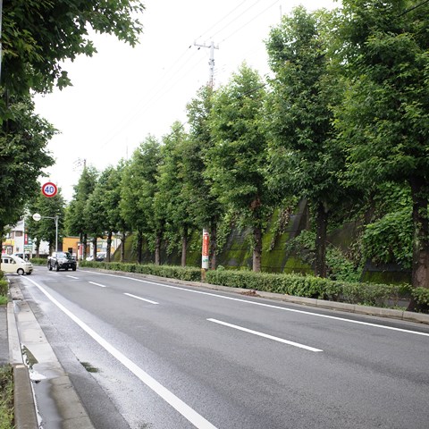 R0012946
