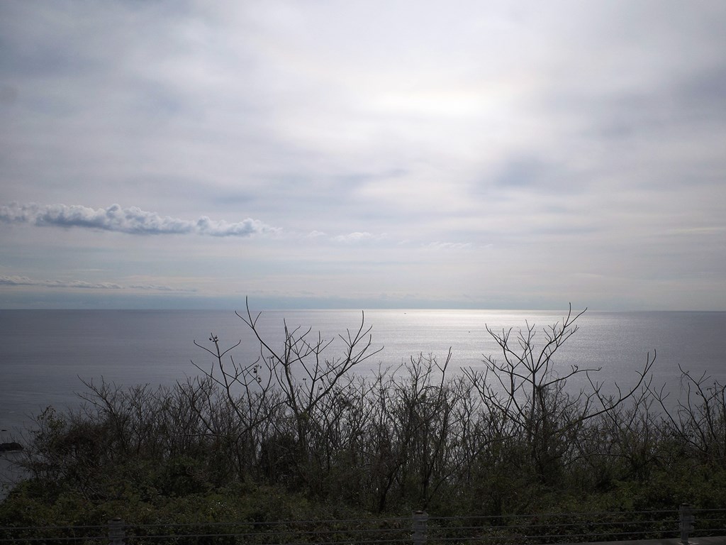 R0008268