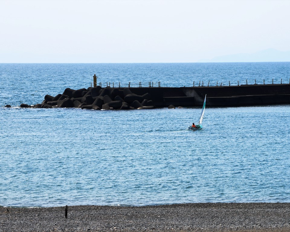 IMG_2717