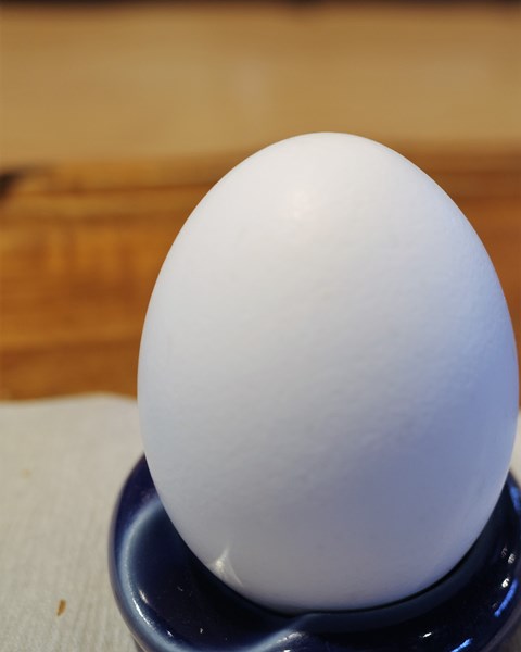 R0008264