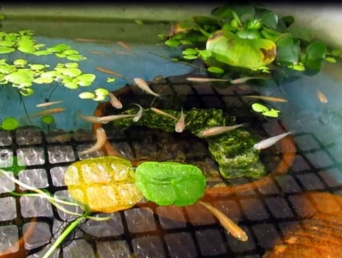 sscapture-20230227-225951