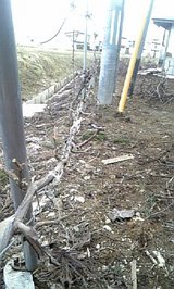 d4b20ab7.jpg