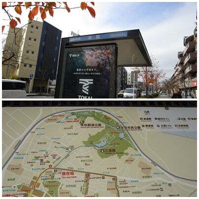 横浜 三渓園 おきらくまま通信