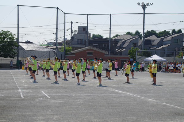 IMGP0624