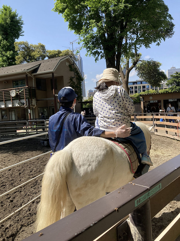 ひき馬乗馬