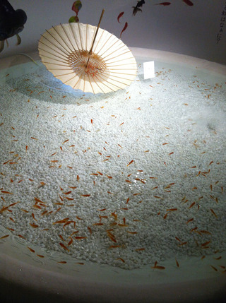 サンシャイン水族館−金魚