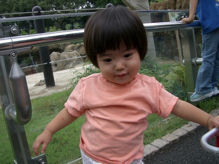 IMGP2569