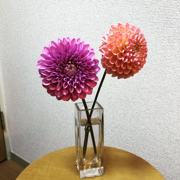D62A70D8-4D8D-4AC7-A239-CF01CEC9F1FF