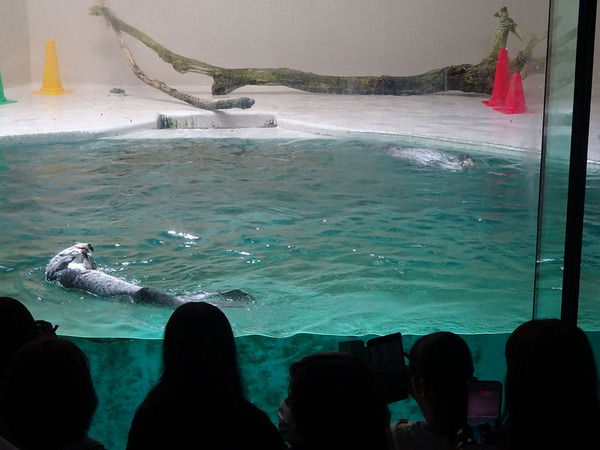鳥羽水族館