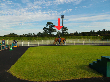 乗馬2