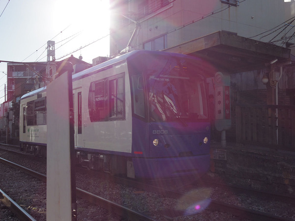 IMGP5459