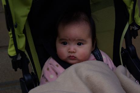 IMGP0568