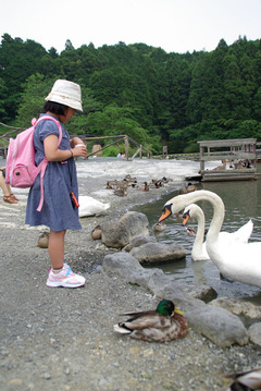 えづけ