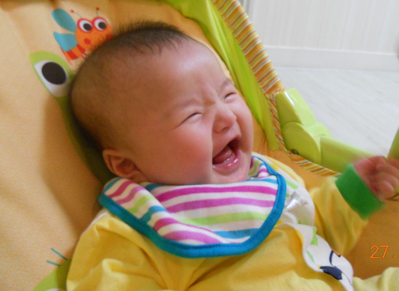 生後４ヶ月になりました こりぁ こりぁ 日記
