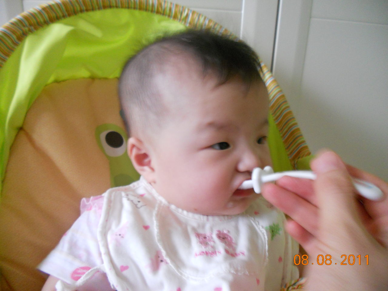 生後6ヶ月になりました こりぁ こりぁ 日記 生後6ヶ月になりました こりぁ こりぁ 日記