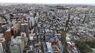 DSC_6694