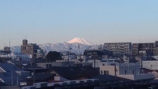DSC_5687
