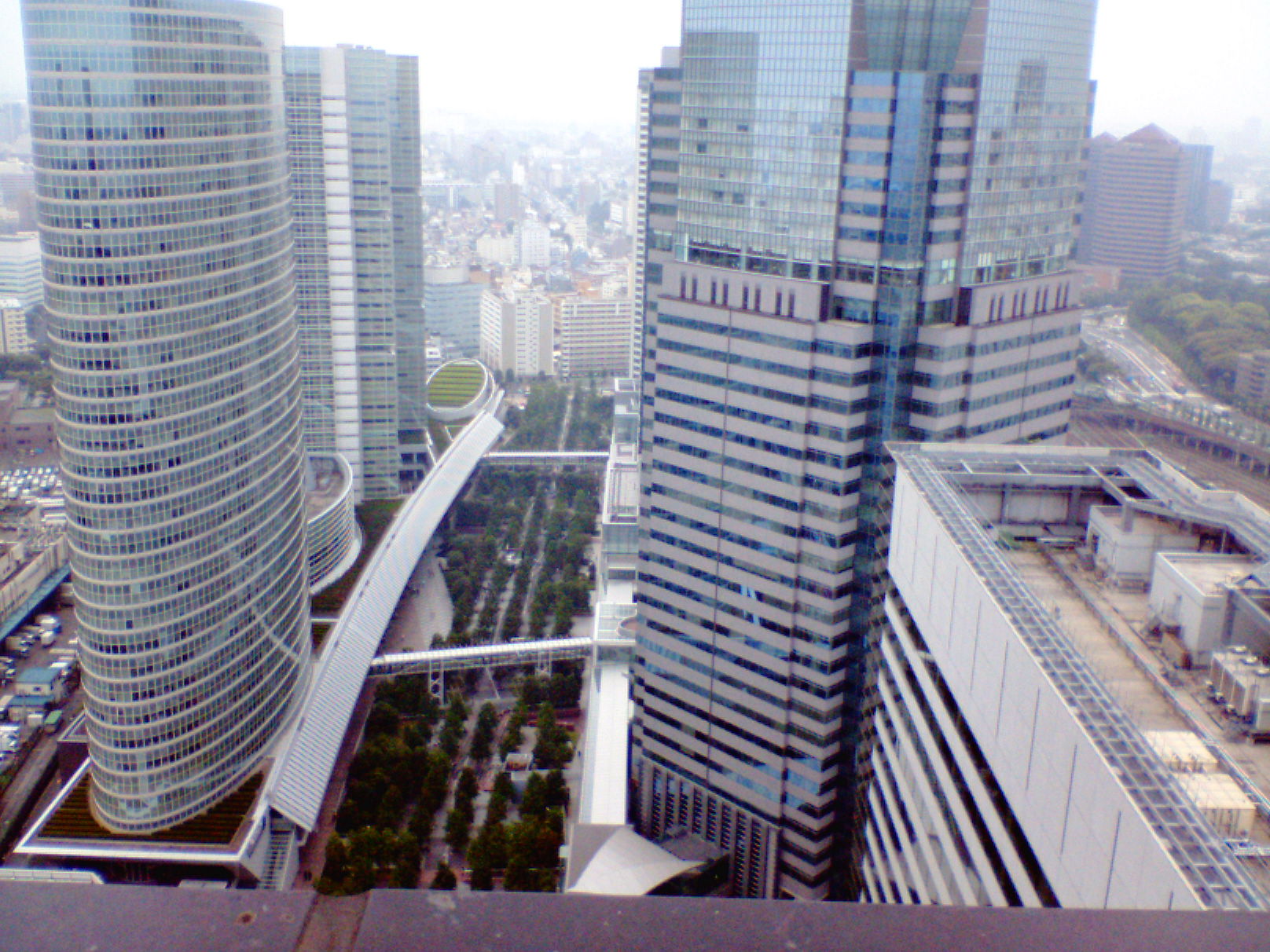 ゴンドラ事故でヘリコバクター マホッチｄｏｎｄｏｎ 唸れマホロバスター