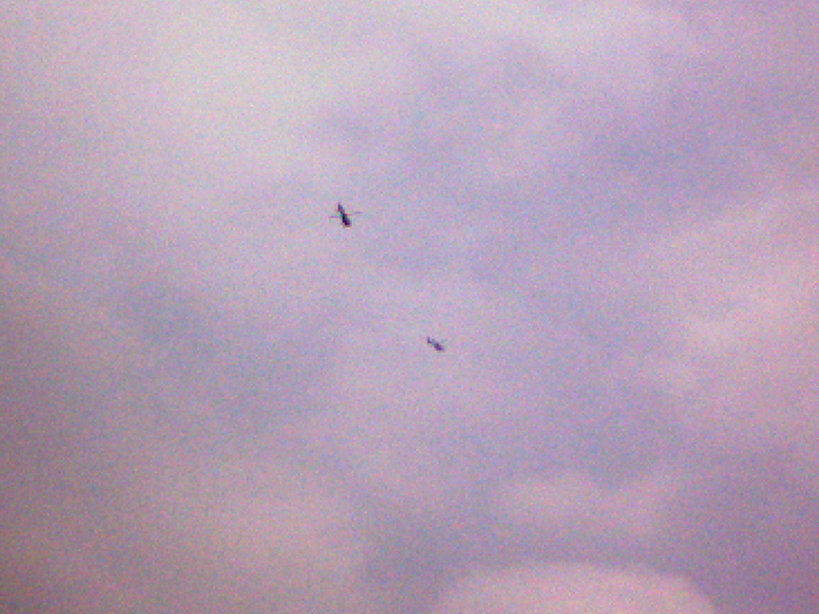 ゴンドラ事故でヘリコバクター マホッチｄｏｎｄｏｎ 唸れマホロバスター