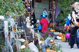 DSC00831
