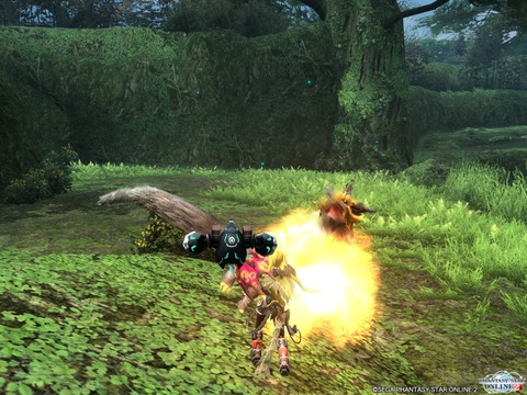 pso20130127_161533_004
