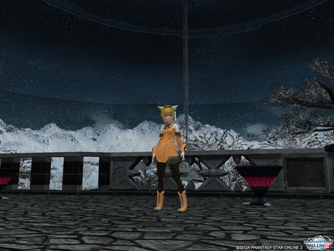 pso20130214_180248_004