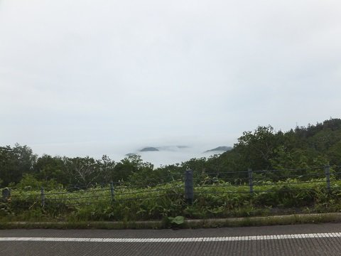 DSCF4359