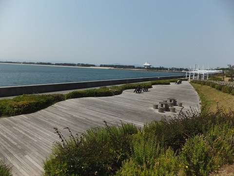 DSCF0915