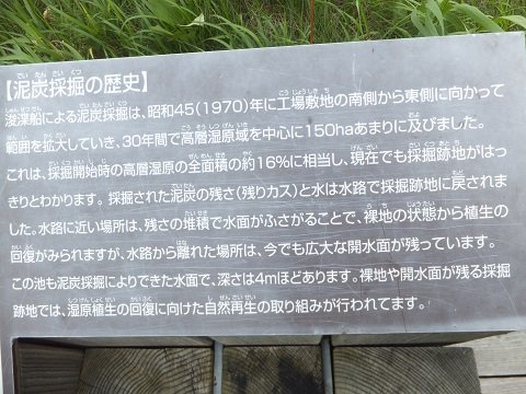 DSCF4270