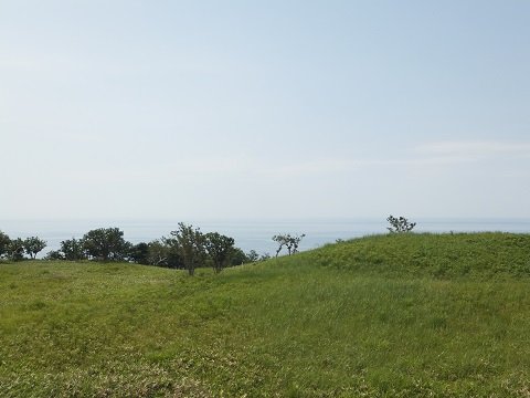 DSCF3817