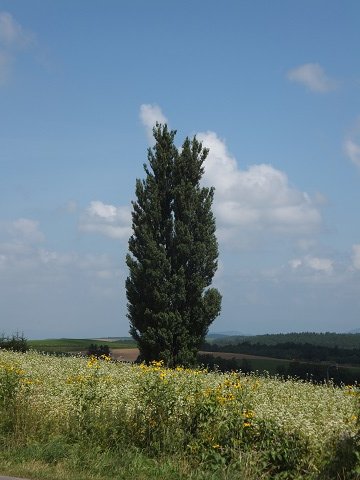 DSCF4928
