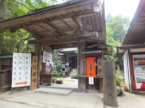 DSCF1233