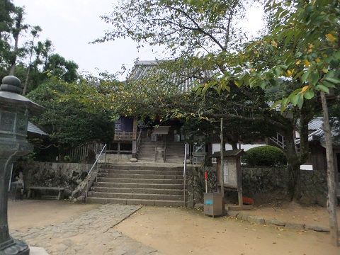 DSCF7661
