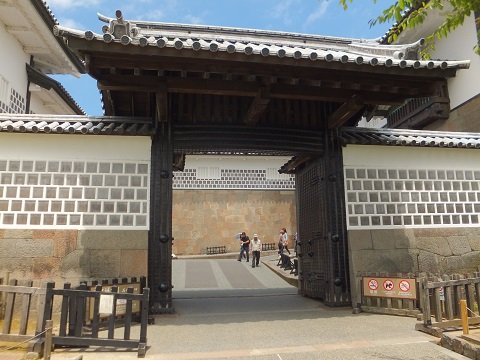 DSCF1891