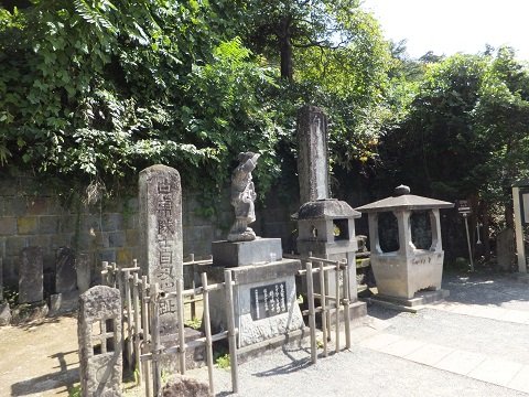 DSCF6520