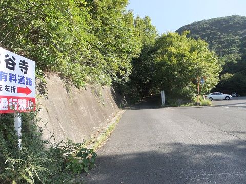 DSCF8150