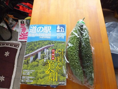 DSCF7359