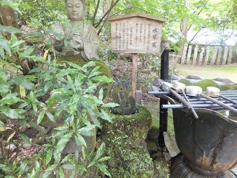 DSCF1184