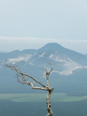 DSCF3648
