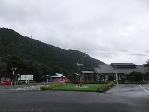 DSCF7768