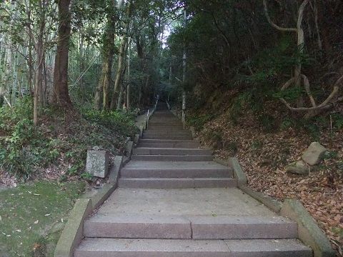 DSCF8156