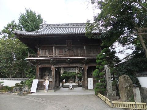 DSCF7645