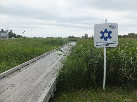 DSCF4259