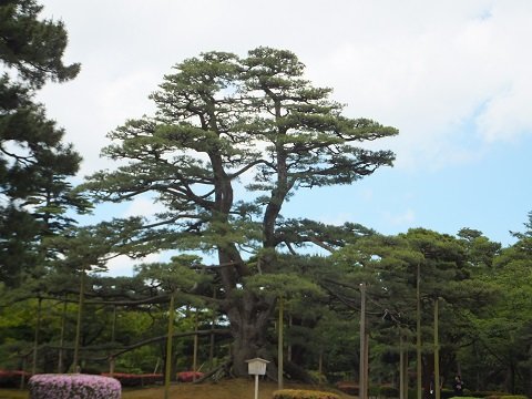 DSCF1867