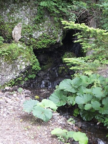 DSCF4428